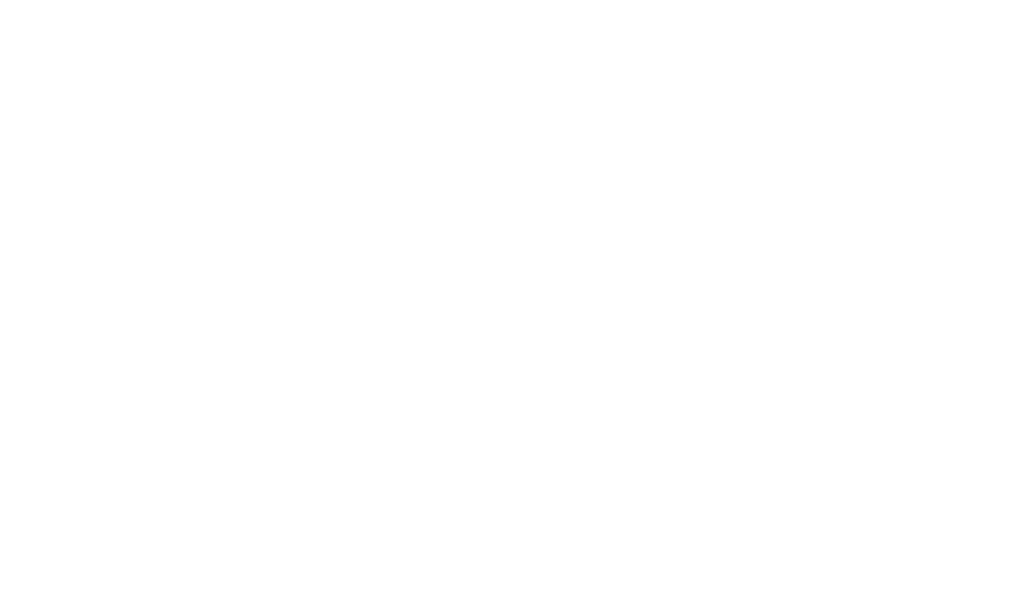 AlémNet Fibra